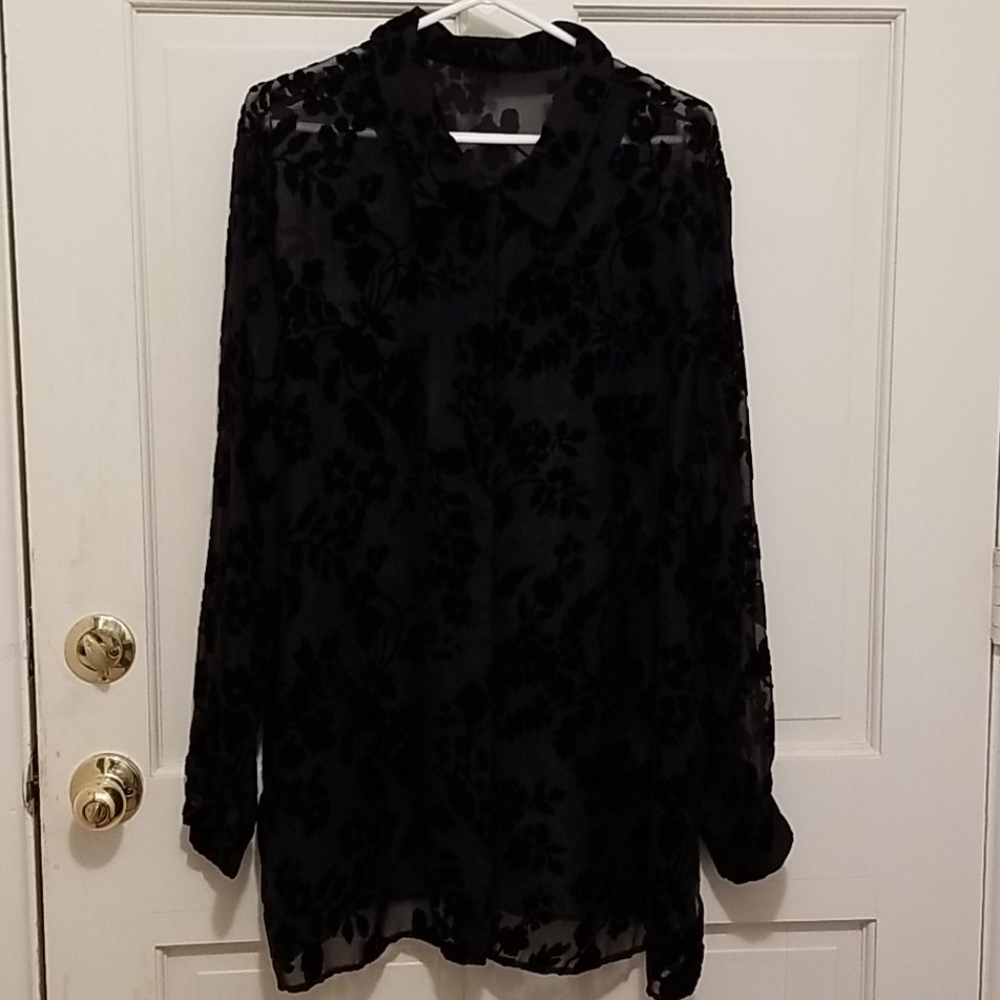 Sheer Blouse